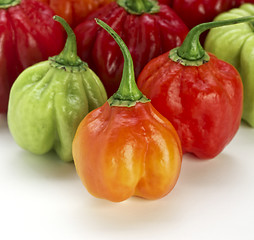 Image showing pepper closeup