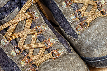 Image showing detail of trekking shoes