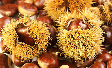 Image showing chestnuts, nature background