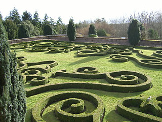 Image showing Shaped Hedges
