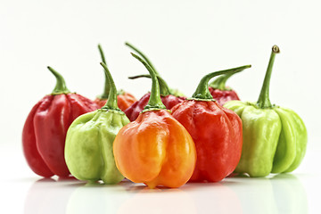 Image showing chilly pepper collection background