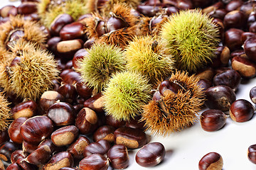 Image showing chestnut background