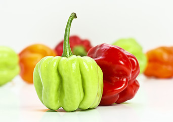 Image showing chilly pepper background