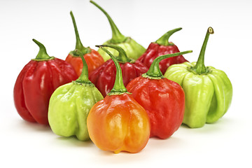 Image showing chilly pepper collection background