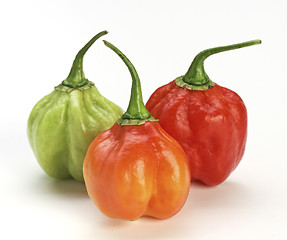 Image showing chilly pepper background