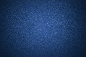 Image showing blue leather