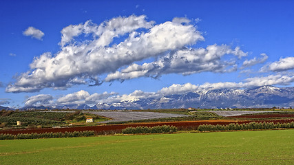 Image showing green field