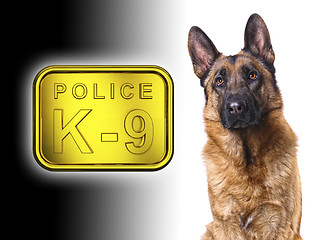 Image showing german shepard k9 police