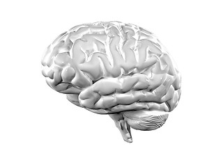 Image showing 3d brain