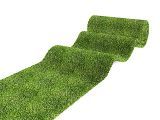 Image showing rolling eco green carpet