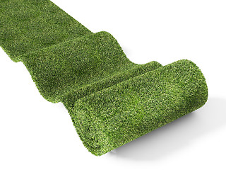 Image showing rolling eco green carpet