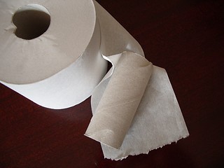 Image showing Change of toilet rolls