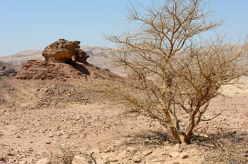 Image showing Timna National Park