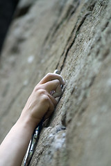 Image showing Climbers hand and quick-draws