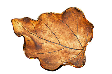 Image showing Ceramic leaf