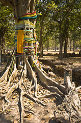 Image showing Wat Chedi Chet Thaeo