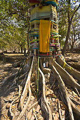 Image showing Wat Chedi Chet Thaeo