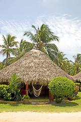 Image showing thatch roof cabana Corn Island Nicaragua