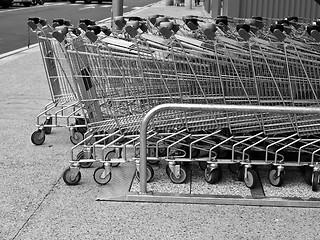 Image showing Shopping carts