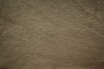 Image showing leather