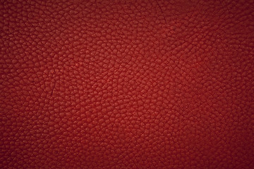 Image showing leather