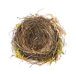 Image showing Detail of blackbird nest isolated on white