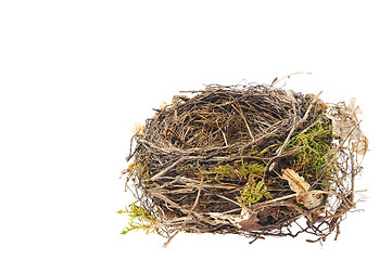 Image showing Detail of blackbird nest isolated on white