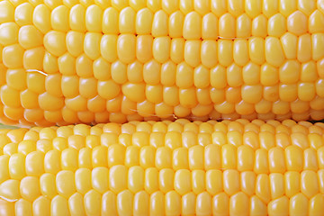 Image showing The corn