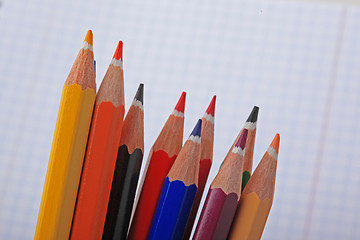 Image showing Many pencils