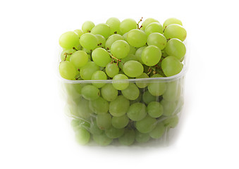 Image showing Grapes isolated on white