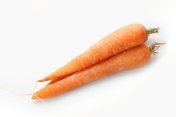 Image showing The red carrot