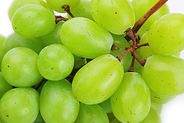 Image showing Grapes isolated on white