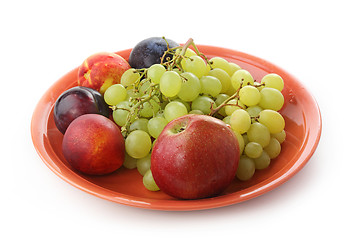 Image showing Many fruits