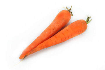 Image showing The red carrot