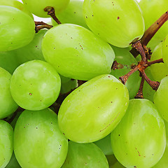 Image showing Grapes isolated on white