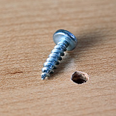 Image showing Board and screw.