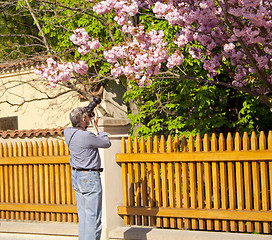 Image showing man photographed tree.