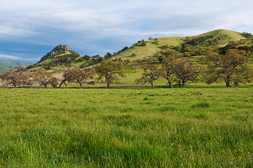 Image showing Springtime