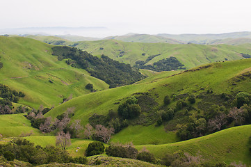 Image showing Rolling hills