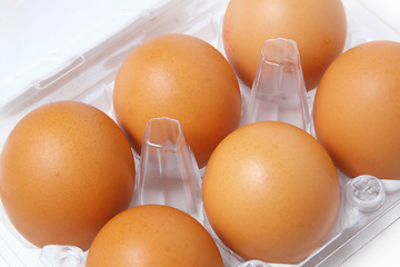 Image showing Box of eggs