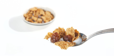 Image showing Raisin Bran Cereal in spoon