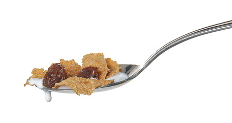 Image showing Raisin Bran Cereal in spoon
