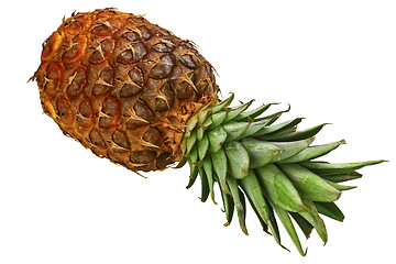 Image showing pineapple background