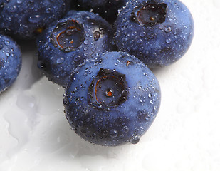 Image showing blueberry closeup