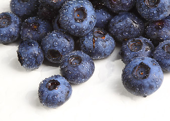 Image showing blueberry detail  background