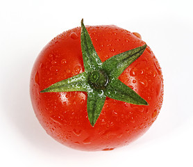 Image showing lonely tomato