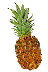 Image showing pineapple background
