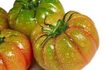 Image showing green and red tomatoes