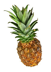 Image showing pineapple fruit isolated on white