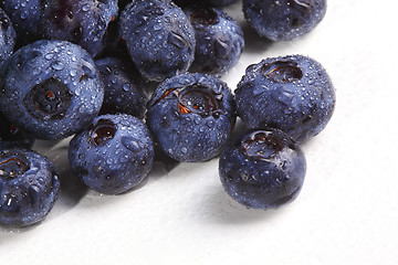 Image showing blueberry detail  background